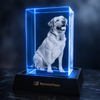 RememPaws Memory Crystal Portrait Keepsake - RememPaws