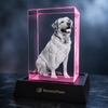 RememPaws Memory Crystal Portrait Keepsake - RememPaws