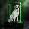 RememPaws Memory Crystal Portrait Keepsake - RememPaws