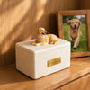 Pet Memorial Tribute Urn - RememPaws