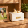 Pet Memorial Tribute Urn - RememPaws