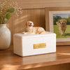 Pet Memorial Tribute Urn - RememPaws