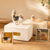 Pet Memorial Tribute Urn - RememPaws